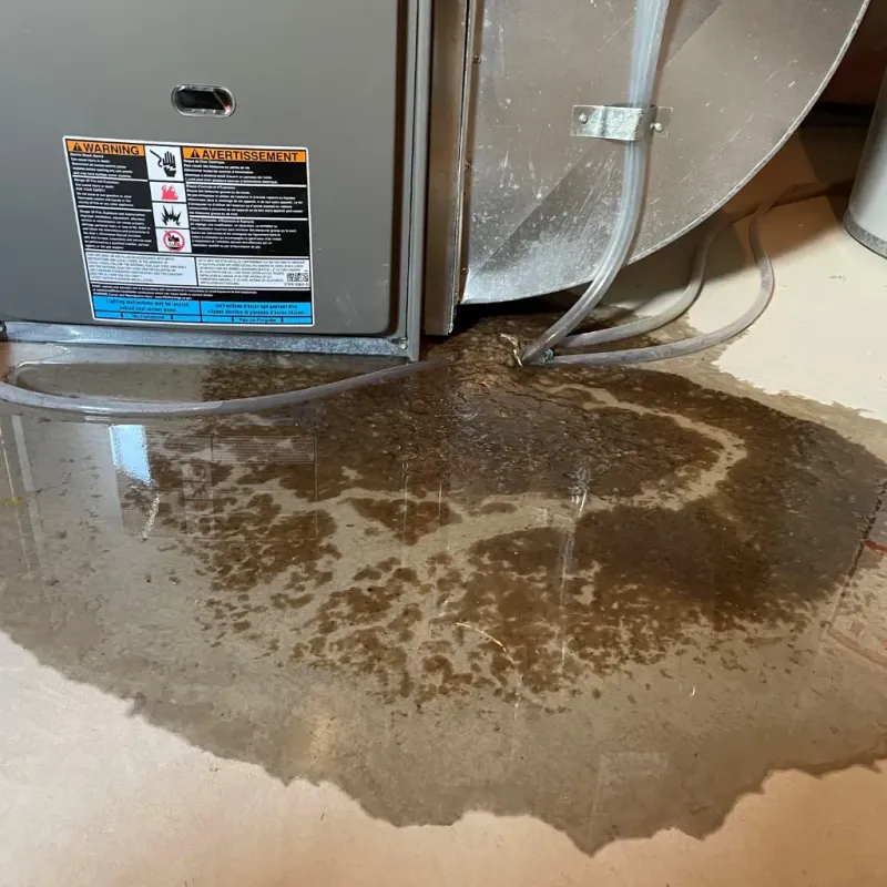 Appliance Leak Cleanup in College Station, TX